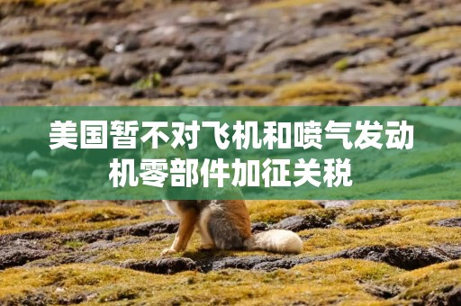美国暂不对飞机和喷气发动机零部件加征关税