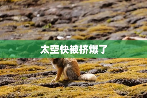 太空快被挤爆了