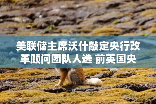 美联储主席沃什敲定央行改革顾问团队人选 前英国央行行长等知名人士在列