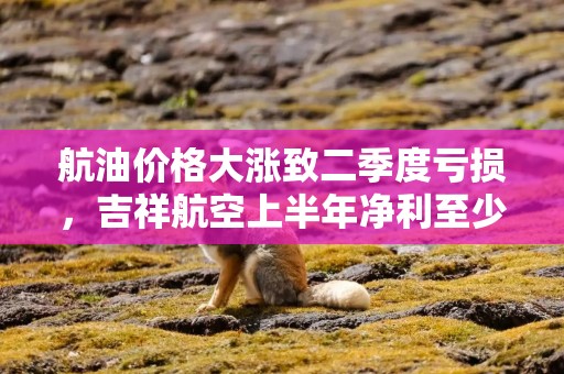 航油价格大涨致二季度亏损，吉祥航空上半年净利至少下滑58%