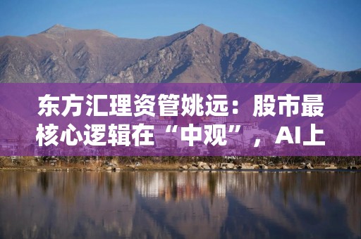 东方汇理资管姚远：股市最核心逻辑在“中观”，AI上半场助推涨价，下半场助推跌价