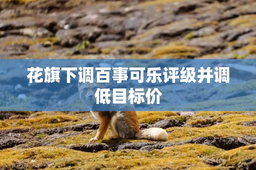 花旗下调百事可乐评级并调低目标价