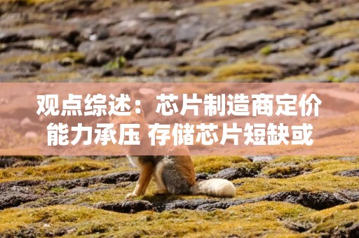 观点综述：芯片制造商定价能力承压 存储芯片短缺或持续到2030年后