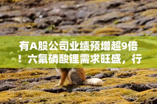 有A股公司业绩预增超9倍！六氟磷酸锂需求旺盛，行业盈利能力显著增强
