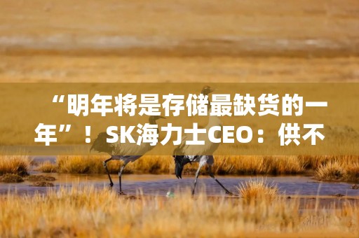 “明年将是存储最缺货的一年”！SK海力士CEO：供不应求或延续至2030年以后！