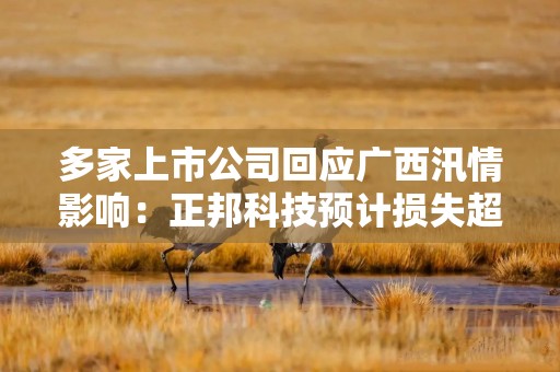 多家上市公司回应广西汛情影响：正邦科技预计损失超去年净利10%