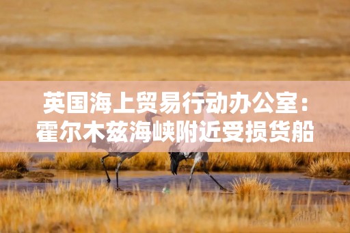 英国海上贸易行动办公室：霍尔木兹海峡附近受损货船船员弃船撤离