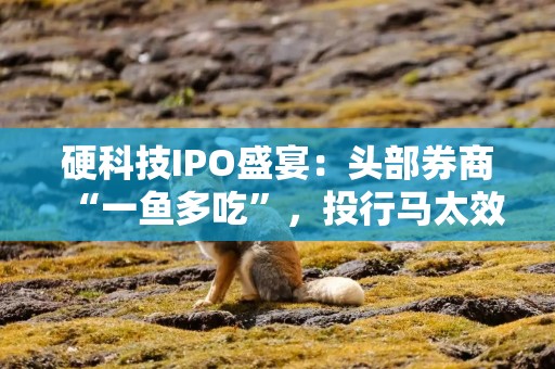 硬科技IPO盛宴：头部券商“一鱼多吃”，投行马太效应加剧