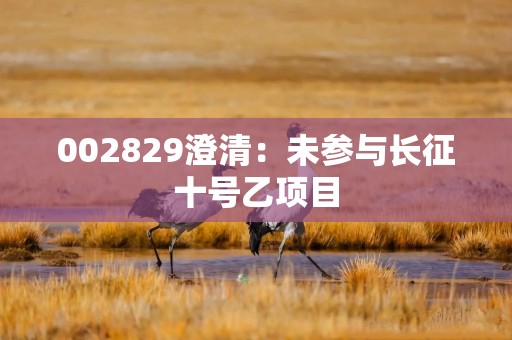 002829澄清：未参与长征十号乙项目