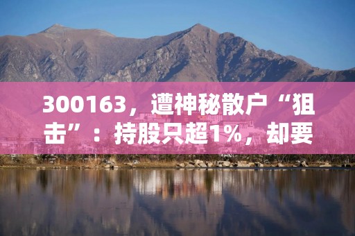 300163，遭神秘散户“狙击”：持股只超1%，却要换掉3名董事，提名人选曾引爆一只3倍大牛股！为何要换人？
