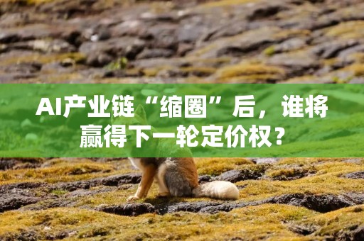 AI产业链“缩圈”后，谁将赢得下一轮定价权？