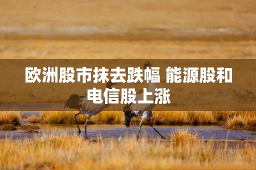 欧洲股市抹去跌幅 能源股和电信股上涨