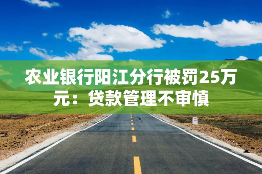 农业银行阳江分行被罚25万元：贷款管理不审慎