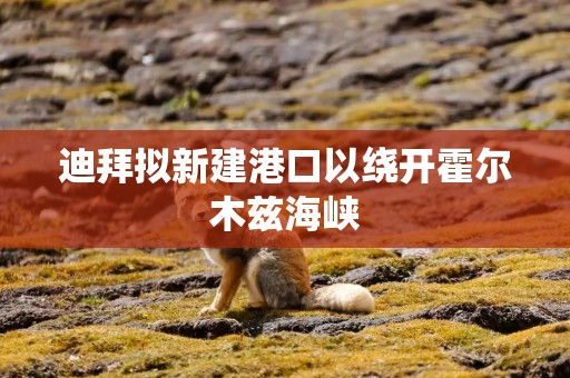 迪拜拟新建港口以绕开霍尔木兹海峡