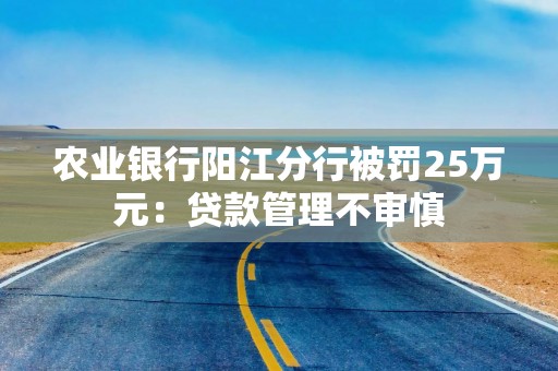 农业银行阳江分行被罚25万元：贷款管理不审慎