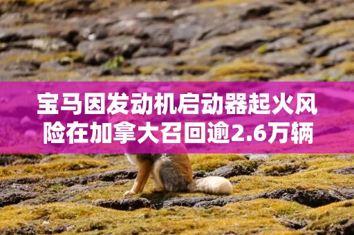 宝马因发动机启动器起火风险在加拿大召回逾2.6万辆汽车
