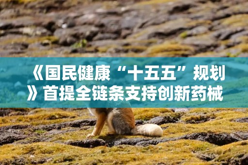 《国民健康“十五五”规划》首提全链条支持创新药械 恒生创新药ETF华泰柏瑞（520500）近三月增长超50%。