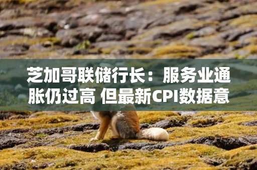 芝加哥联储行长：服务业通胀仍过高 但最新CPI数据意外温和