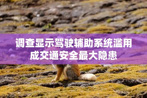 调查显示驾驶辅助系统滥用成交通安全最大隐患