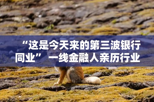 “这是今天来的第三波银行同业” 一线金融人亲历行业激烈竞争