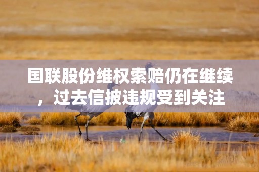 国联股份维权索赔仍在继续，过去信披违规受到关注