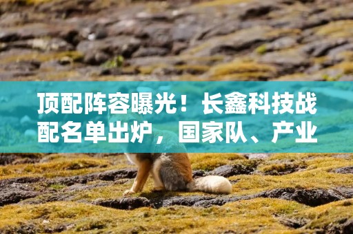顶配阵容曝光！长鑫科技战配名单出炉，国家队、产业龙头、互联网大厂……