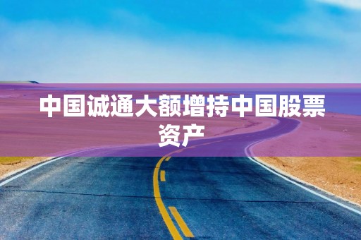 中国诚通大额增持中国股票资产