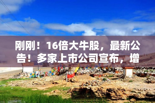 刚刚！16倍大牛股，最新公告！多家上市公司宣布，增持、回购