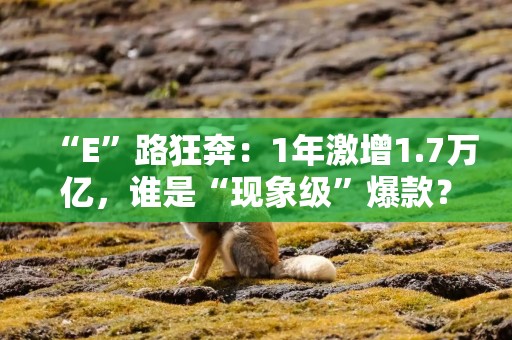 “E”路狂奔：1年激增1.7万亿，谁是“现象级”爆款？