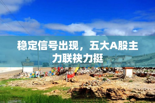 稳定信号出现，五大A股主力联袂力挺
