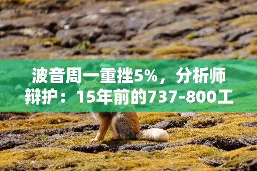 波音周一重挫5%，分析师辩护：15年前的737-800工艺和设计不太可能是韩国空难的原因