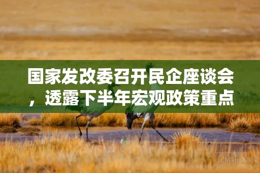 国家发改委召开民企座谈会，透露下半年宏观政策重点