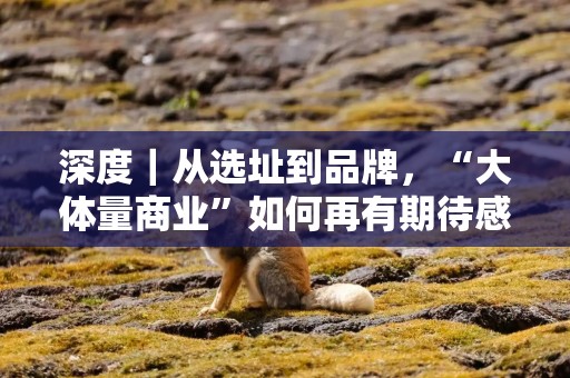深度｜从选址到品牌，“大体量商业”如何再有期待感？
