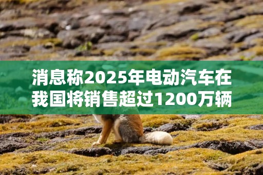 消息称2025年电动汽车在我国将销售超过1200万辆 高于燃油汽车