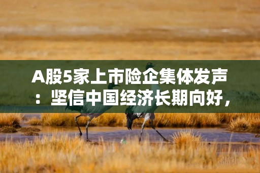 A股5家上市险企集体发声：坚信中国经济长期向好，坚定支持资本市场发展