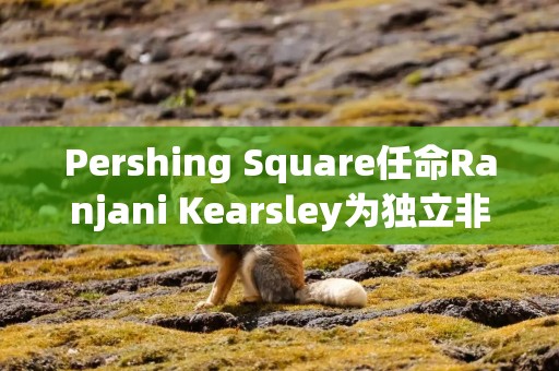 Pershing Square任命Ranjani Kearsley为独立非执行董事