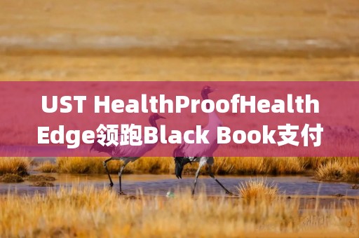 UST HealthProofHealthEdge领跑Black Book支付方IT咨询研究
