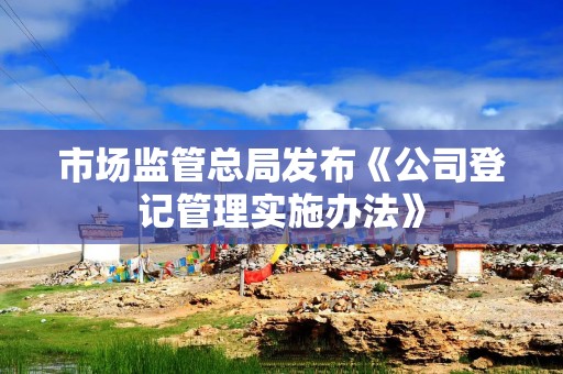 市场监管总局发布《公司登记管理实施办法》