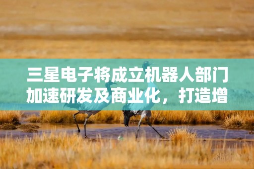 三星电子将成立机器人部门加速研发及商业化，打造增长引擎