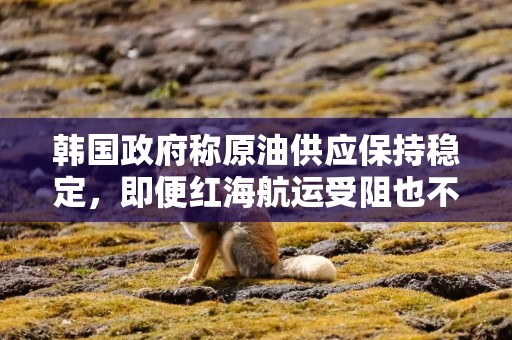 韩国政府称原油供应保持稳定，即便红海航运受阻也不会出现大规模中断
