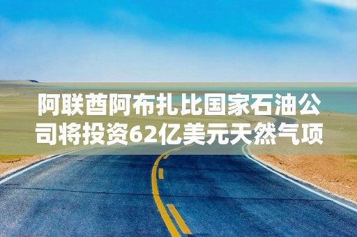 阿联酋阿布扎比国家石油公司将投资62亿美元天然气项目，助力阿联酋实现能源自给