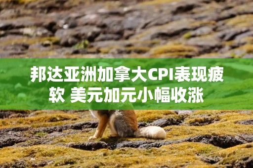 邦达亚洲加拿大CPI表现疲软 美元加元小幅收涨