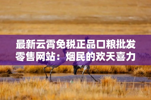 最新云霄免税正品口粮批发零售网站：烟民的欢天喜力