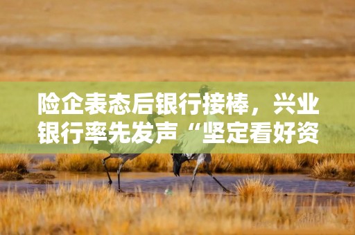 险企表态后银行接棒，兴业银行率先发声“坚定看好资本市场”
