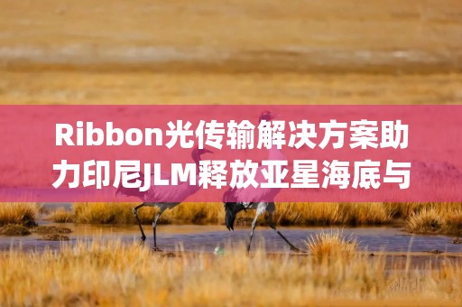 Ribbon光传输解决方案助力印尼JLM释放亚星海底与城域网络容量