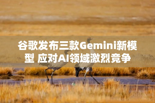 谷歌发布三款Gemini新模型 应对AI领域激烈竞争
