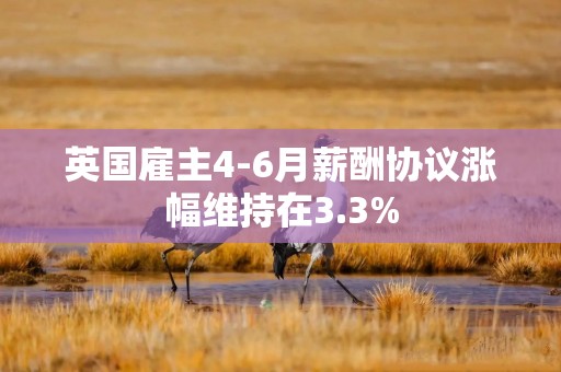 英国雇主4-6月薪酬协议涨幅维持在3.3%