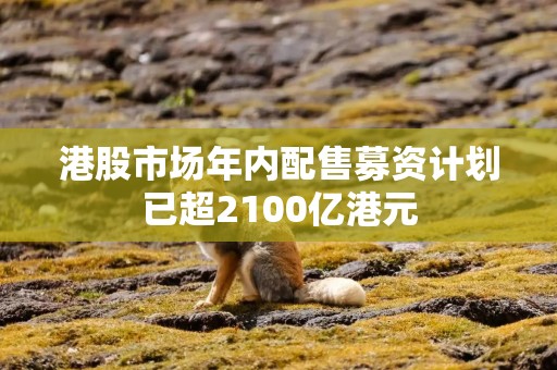 港股市场年内配售募资计划已超2100亿港元