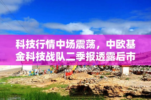 科技行情中场震荡，中欧基金科技战队二季报透露后市观点