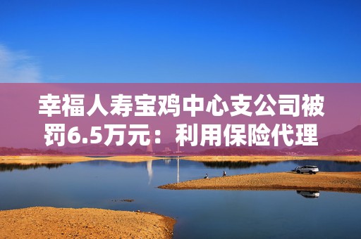 幸福人寿宝鸡中心支公司被罚6.5万元：利用保险代理人套取费用